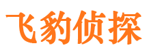 柳河市场调查